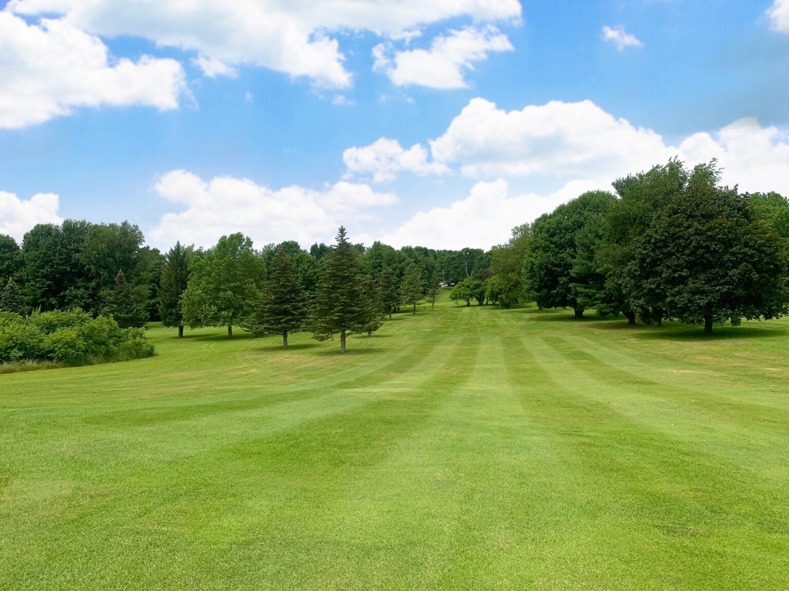 Golf Course Emerald Hills Marshall, MI