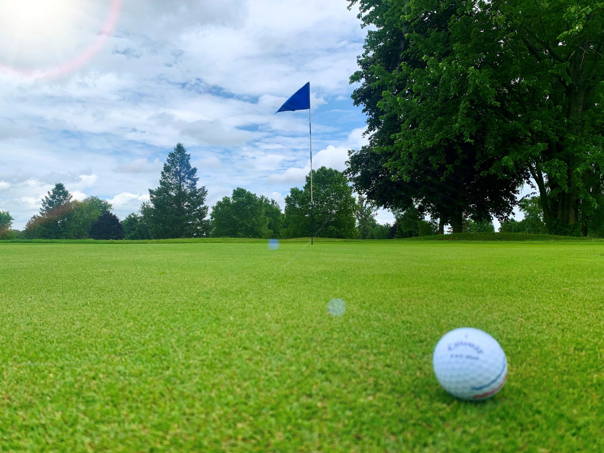 Golf Course Emerald Hills Marshall, MI