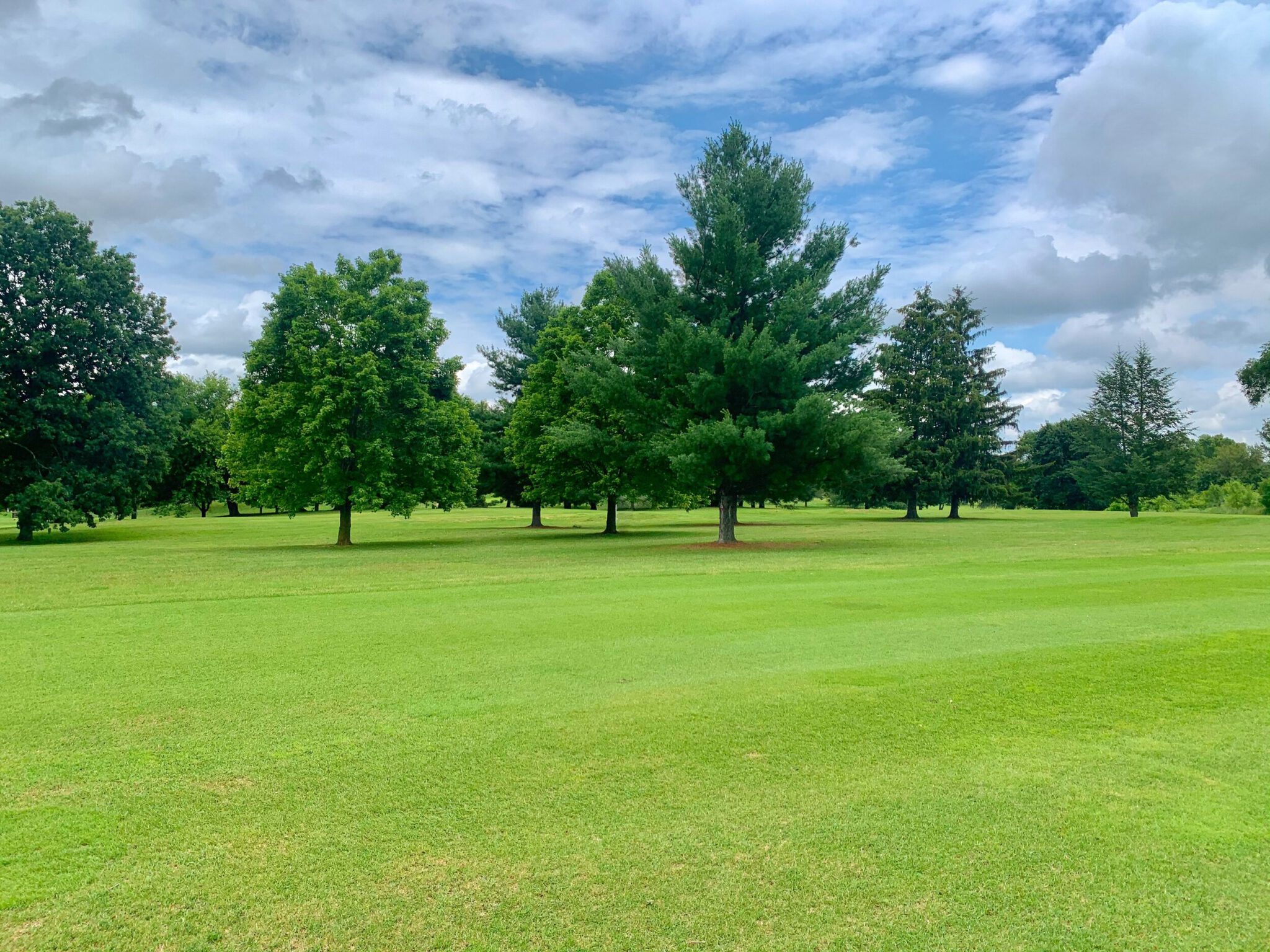 Golf Course Emerald Hills Marshall, MI